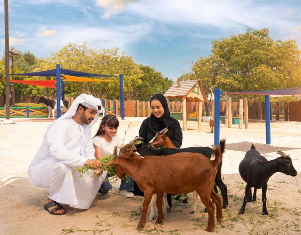Dubai Safari Park - Yolculuk Bileti Sadece