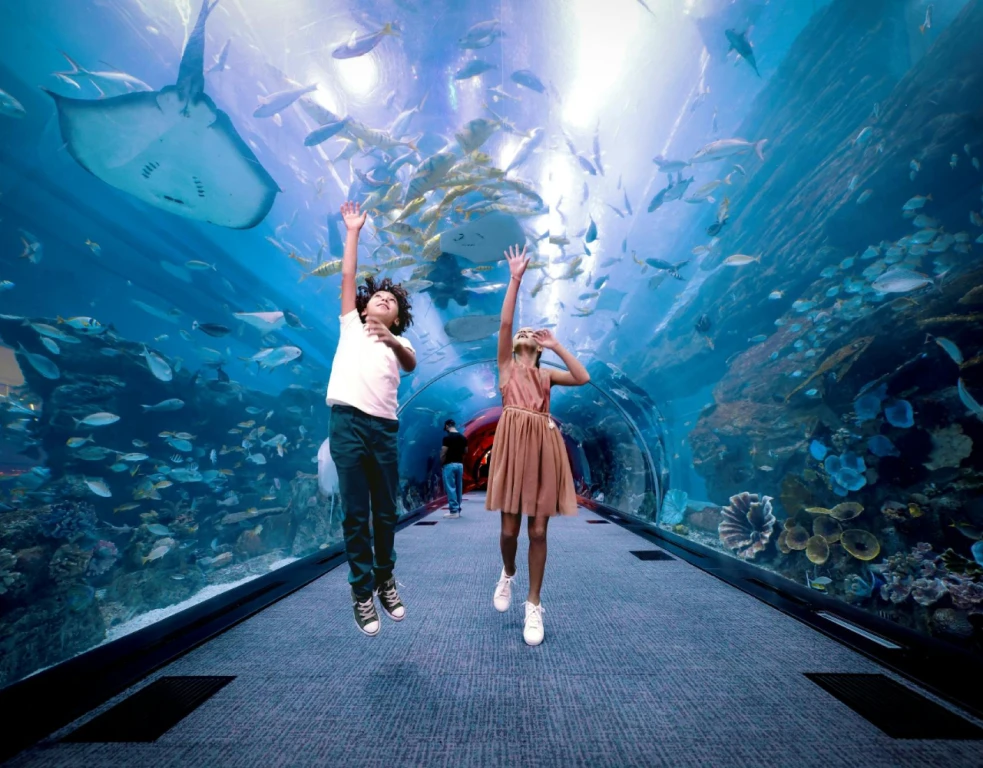 Burj Khalifa 124. Kat + Dubai Akvaryumu - Non-Prime Saatler