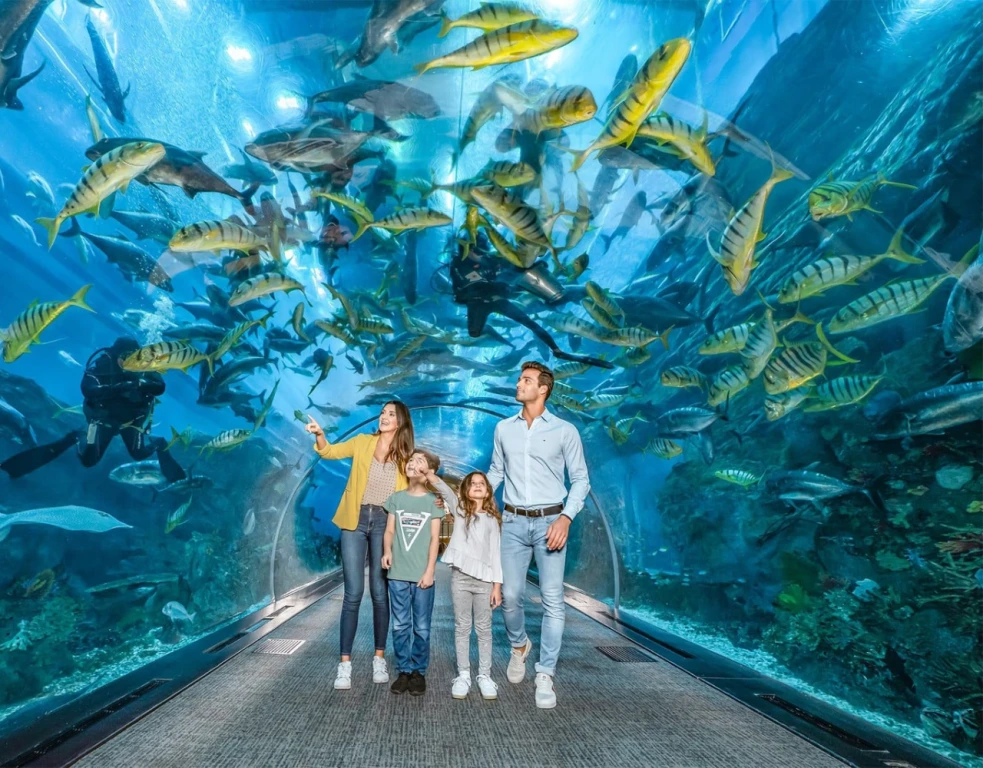 Burj Khalifa 124. Kat + Dubai Akvaryumu - Non-Prime Saatler