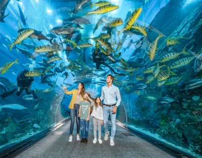 Burj Khalifa Seviye 124 + Dubai Akvaryumu - Non-Prime Saatler