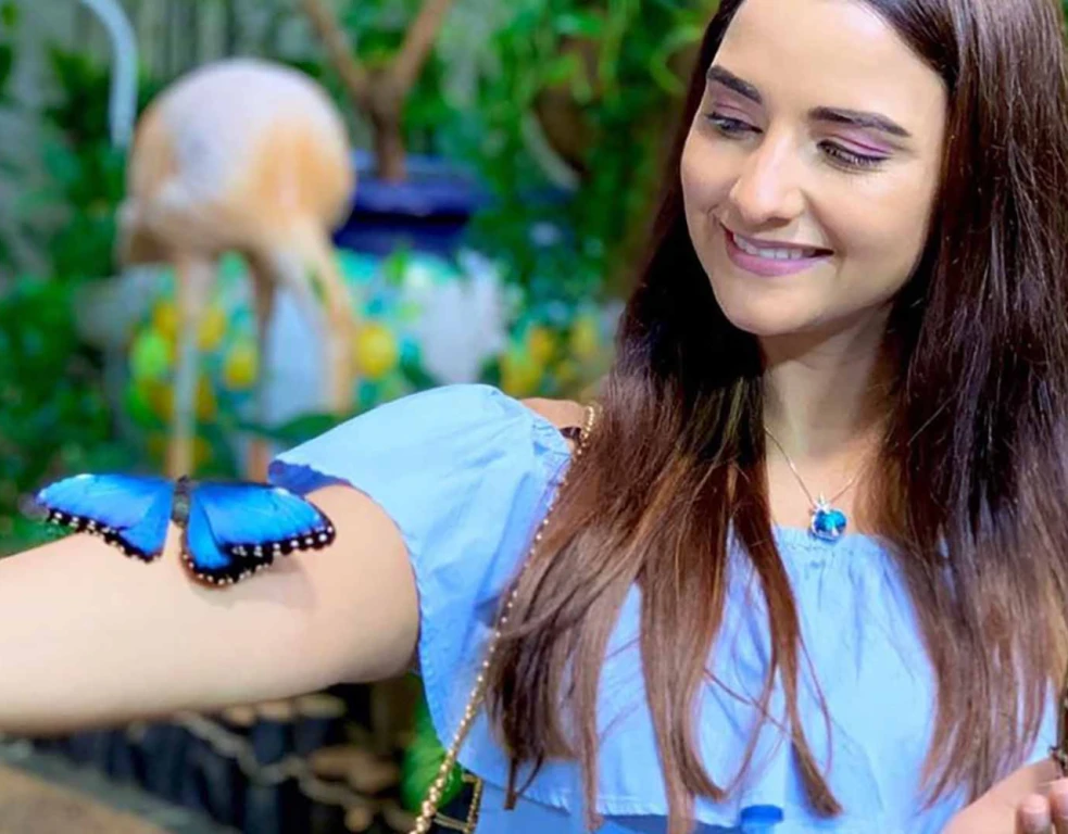 Dubai Butterfly Garden