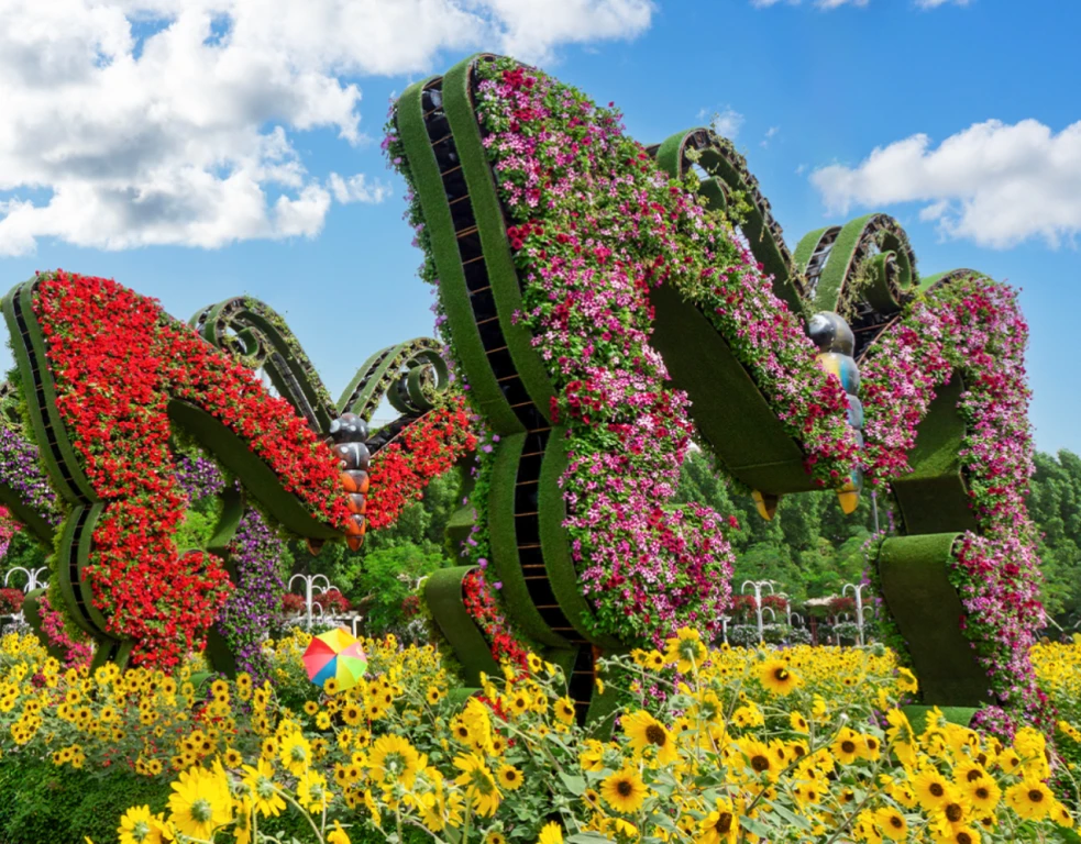 Dubai Butterfly Garden
