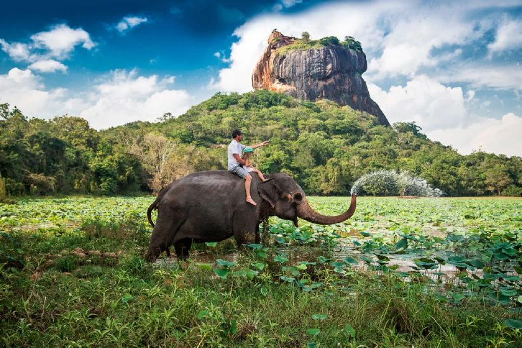 ELEGANT SRI LANKA Türk Hava Yolları ile 6 Gece (CMB-CMB) 
