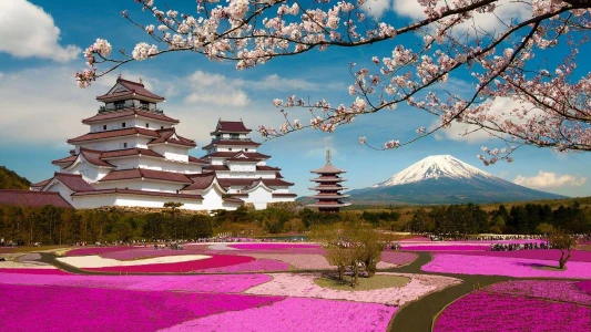 ELEGANT JAPONYA - 6 Gece - All Nippon - HND-HND 