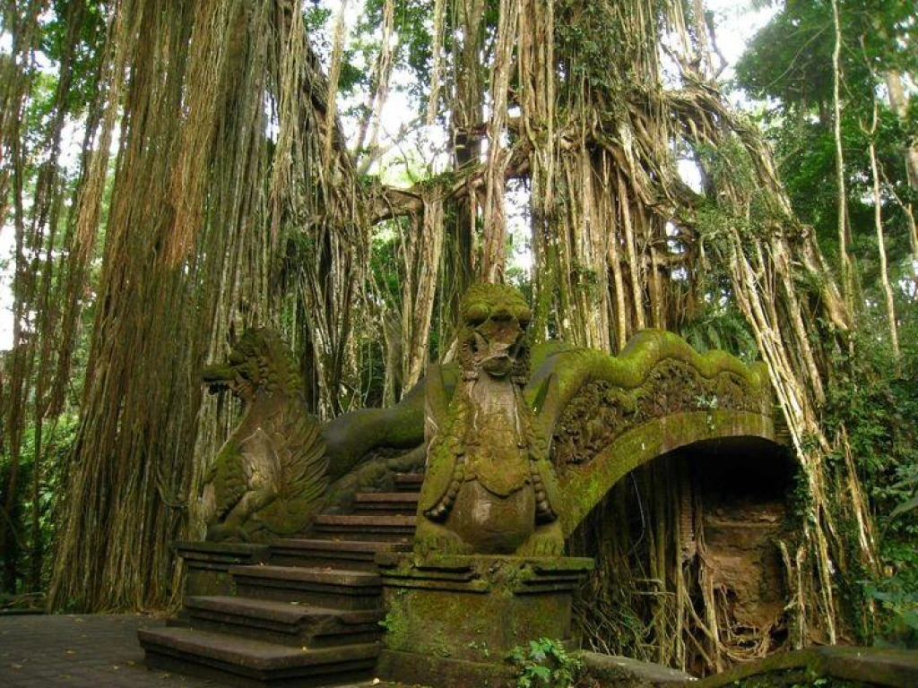 Bali-Ubud Serüveni  UBUD (3) - BALİ (3) Qatar Hava Yolları ile 6 Gece & 9 Gün 