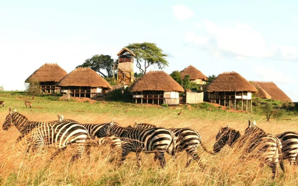 ELEGANT RUANDA & UGANDA - 8 Gece - Thy - Kgl-Ebb - 