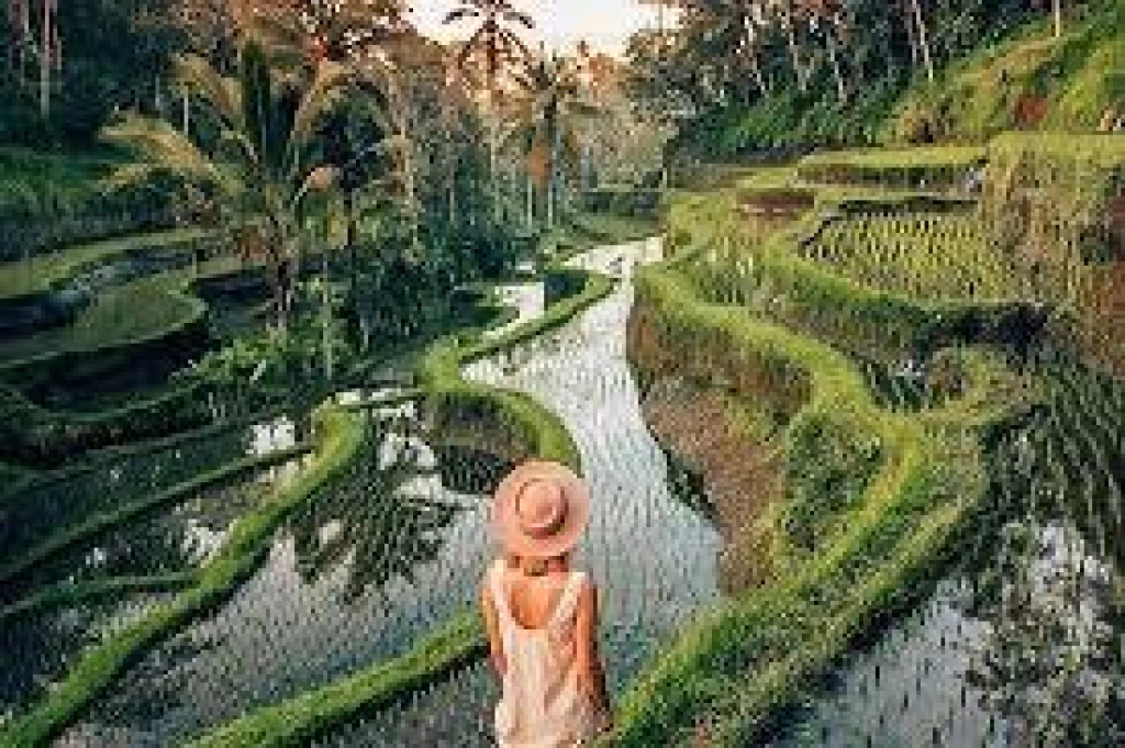  ELEGANT BALİ EMİRATES HAVA YOLLARI ILE 5 GECE (DPS-DPS) - EKSTRA TURLAR DAHİL