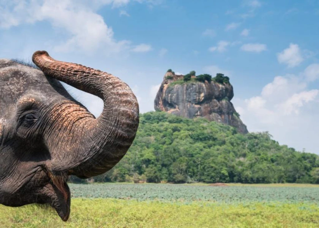 ELEGANT SRI LANKA – 5 Gece – JAZEERA HAVA YOLLARI - CMB - CMB 