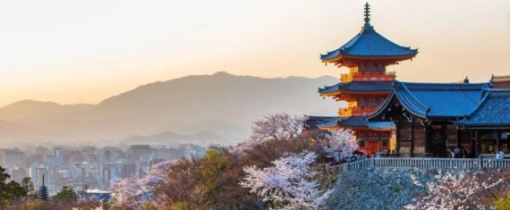 Comfort Japonya Turu Etihad Hava Yolları ile 7 gece Ekstra Turlar ve Çay Seremonisi Dahil Ramazan Ba...