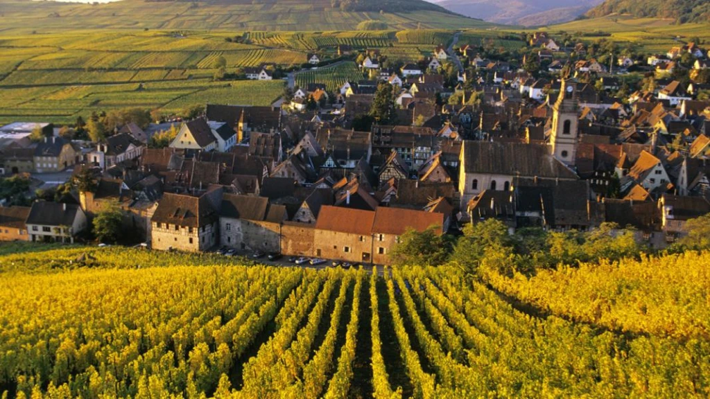 ELEGANT BENELUX & PARIS & ALSACE - 7 Gece - AJet - BSL - CGN 2026 DÖNEMİ 