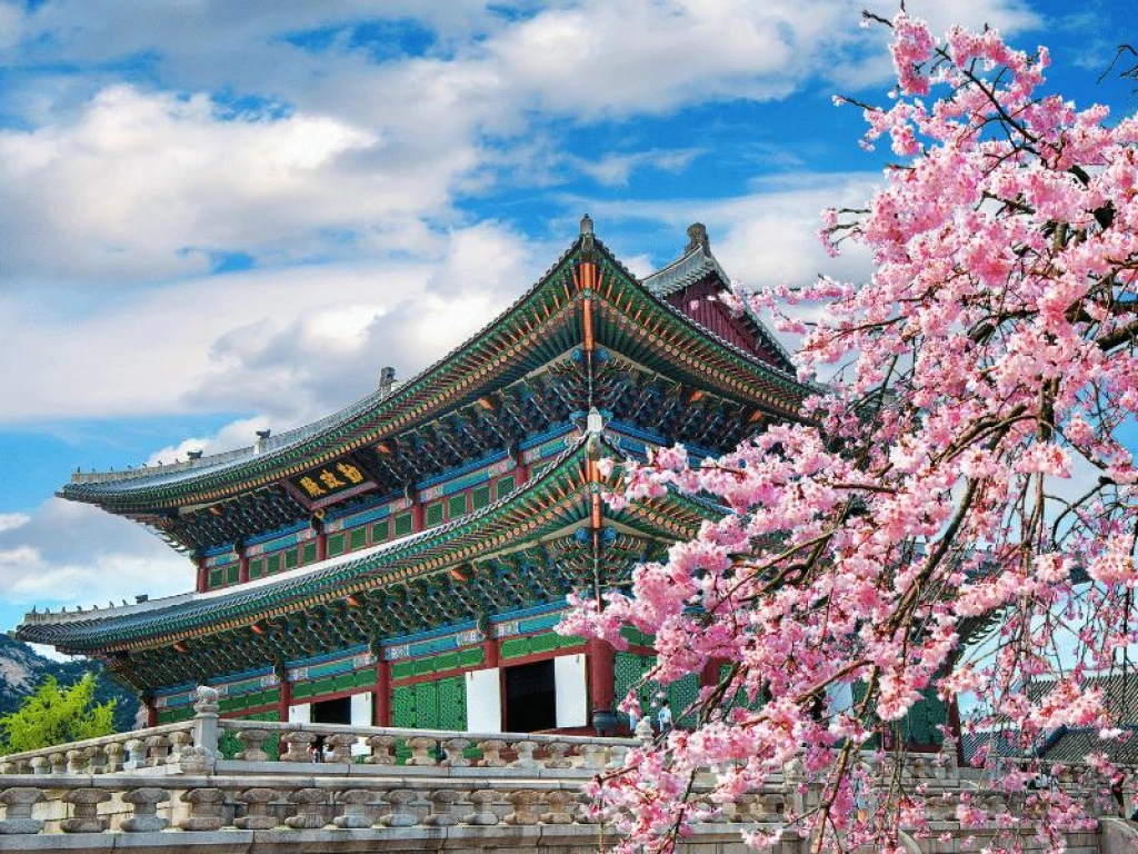 Comfort Japonya & Kore Turu Emirates Hava Yolları ile 8 Gece Ekstra Turlar ve Çay Seremonisi Dahil ICN-HND Ramazan Bayramı