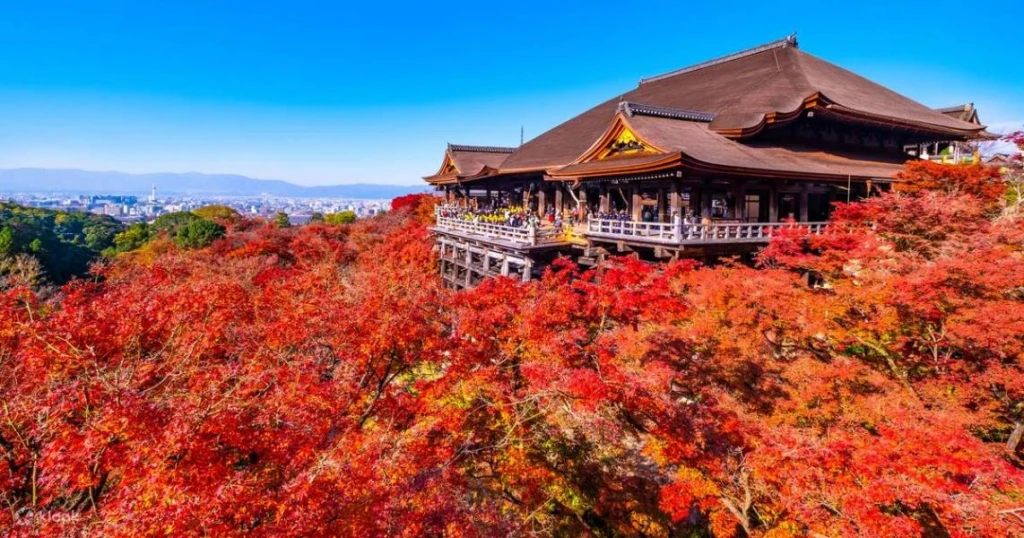 Comfort Japonya & Kore Turu Türk Hava Yolları ile 8 Gece Ekstra Turlar Dahil Sakura Dönemi  ICN-KIX 10 Nisan 