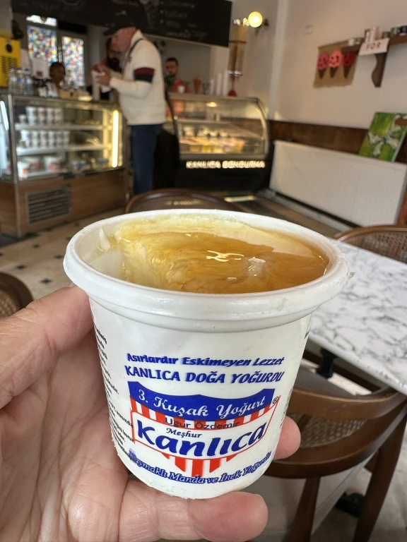 Best of Istanbul Deluxe: Morning Old City Tour & Luxury Yacht Bosphorus Cruise