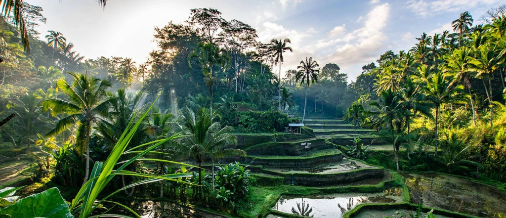 ELEGANT UBUD & BALİ & KUALA LUMPUR - 6 Gece - Air Asia - Dps-Kul