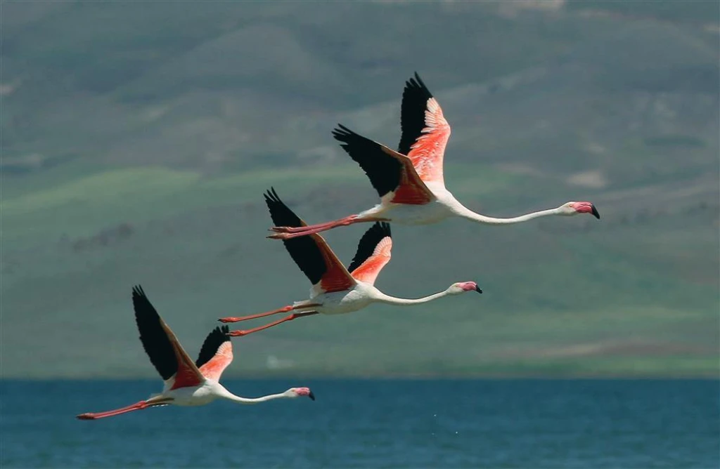 2 gün 1 gece Van Turu