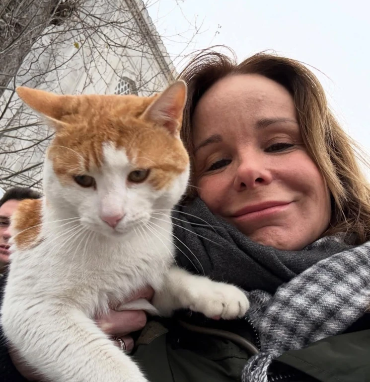 Коти Стамбула