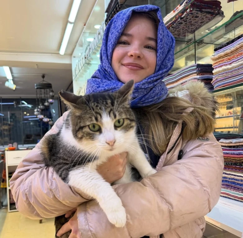 Коти Стамбула