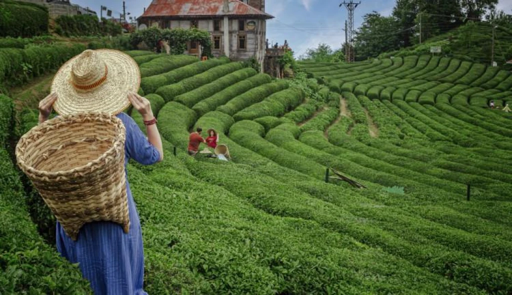 2026 SEZON ELİT KARADENİZ TURU