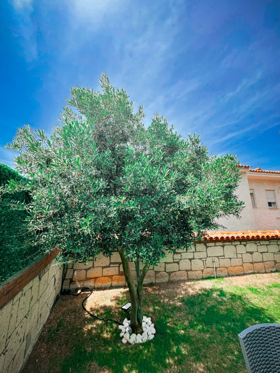 İzmir Çeşme Alaçatı da Aileler için Uygun, 4 Yatak Odalı, Havuzlu ve Şömineli Kiralık Villa