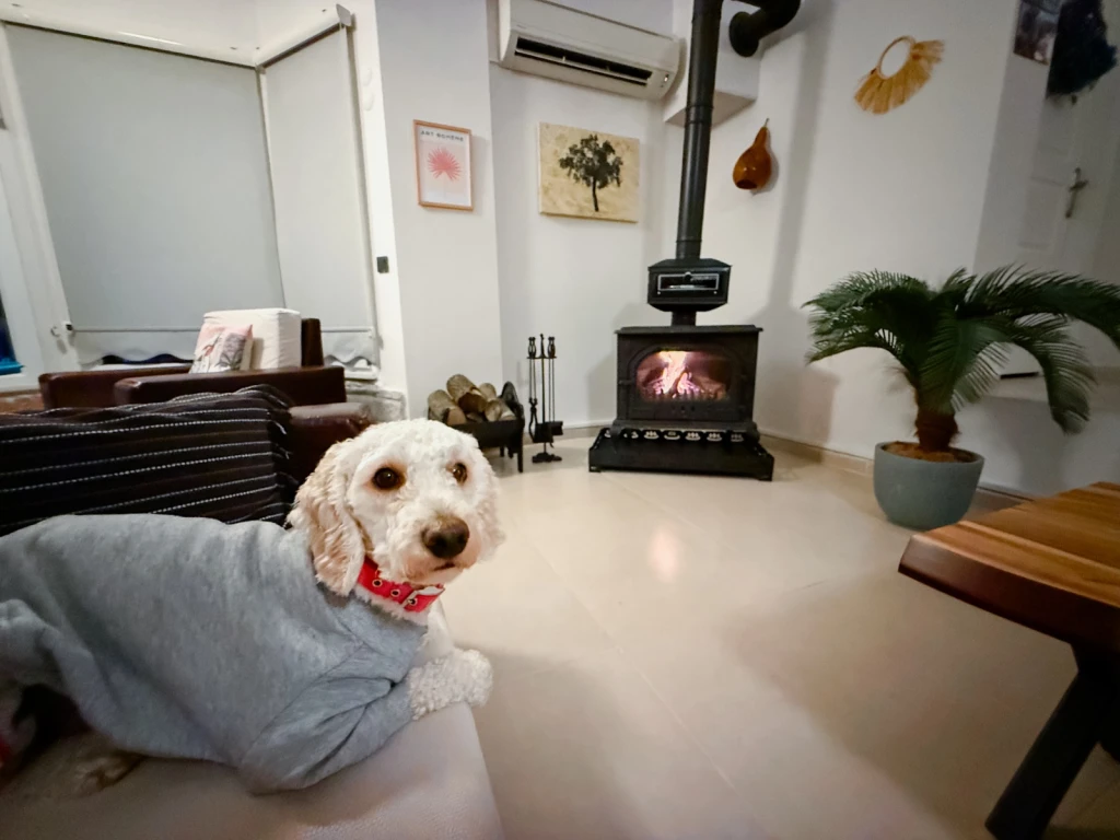 İzmir Foça da, Aileler için Uygun, 4 Yatak Odalı, Havuzlu ve Şömineli Kiralık Villa