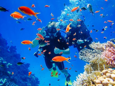 Sharm El Sheikh Turu Vizesiz (Ramazan Bayramı Özel)19-22 Mart | 3 Gece 4 Gün    igf