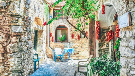 14 ŞUBAT SAKIZ ADASI TURU