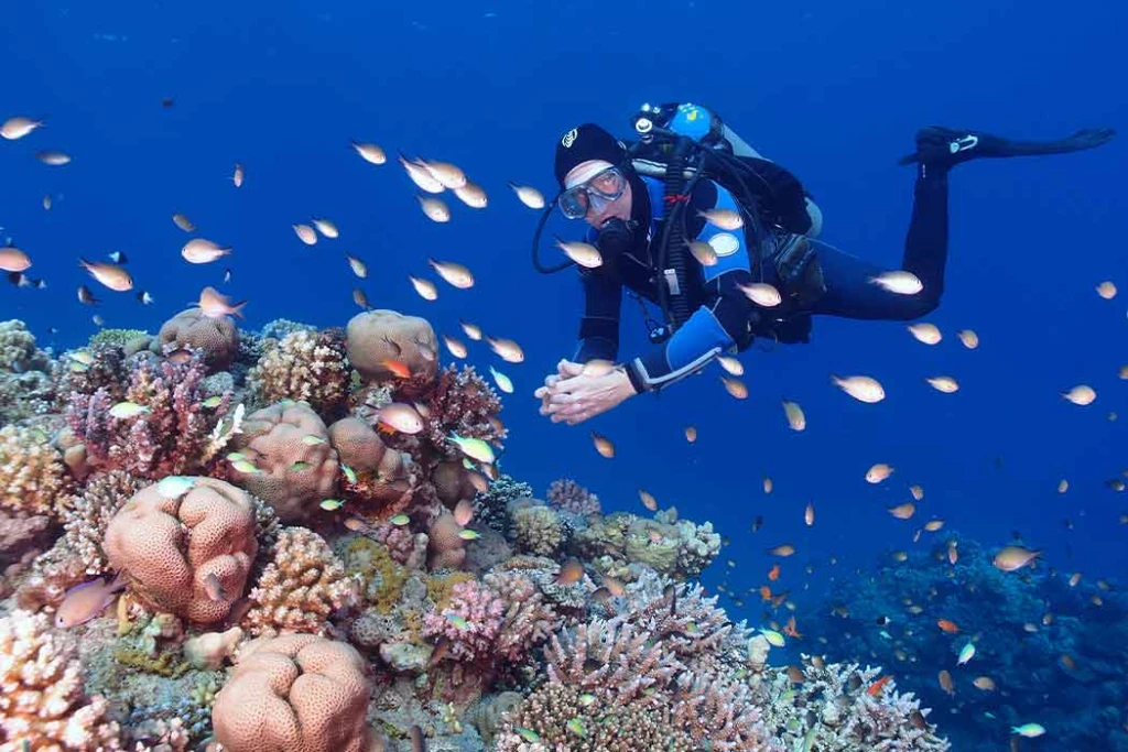 Promosyon Sharm El Sheikh Turu Ajet ile 3 Gece Otelden Erken Çıkışlı