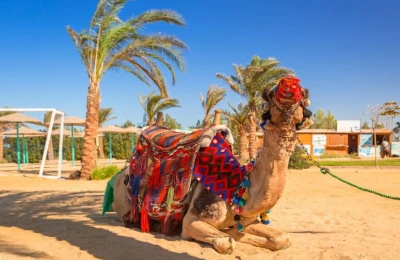 Hurghada Turları