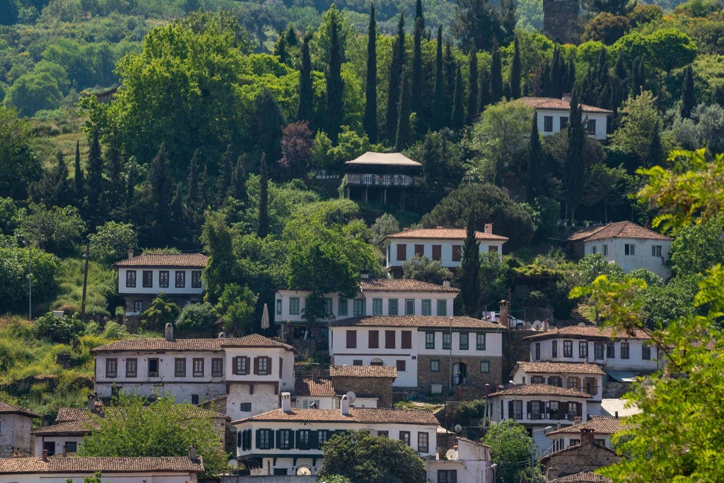 Discover the Best of Turkey in 8 Days – Unforgettable Guided Tour