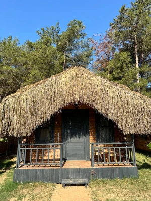 4 Gece Konaklamalı 5 Etkinlikli Tatil Paketi