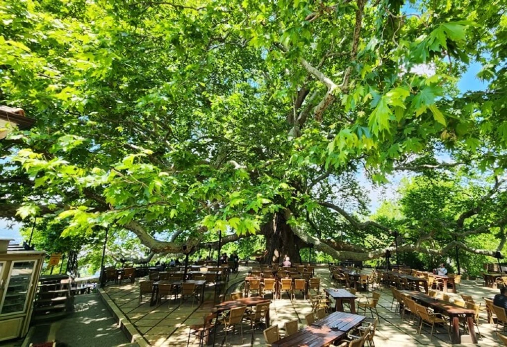 Private Bursa Day Tour from Istanbul