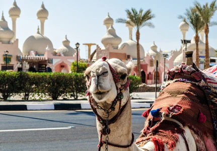 Sharm El Sheikh Turu Ekstra Turlar Dahil 5 Gece Konaklamalı