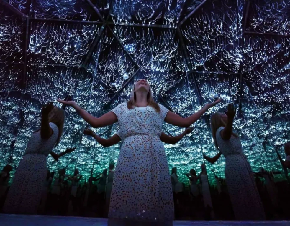 Музей иллюзий (Только билет)