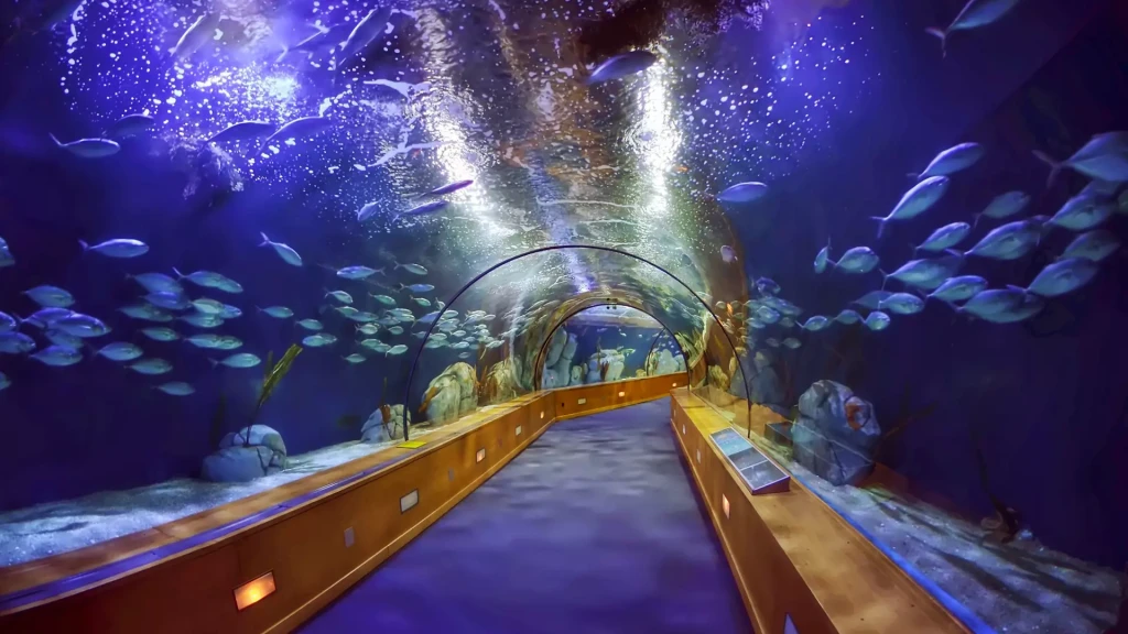 Dubai Mall Akvaryumu & Underwater Zoo | Su Altı Dünyasını Keşfedin