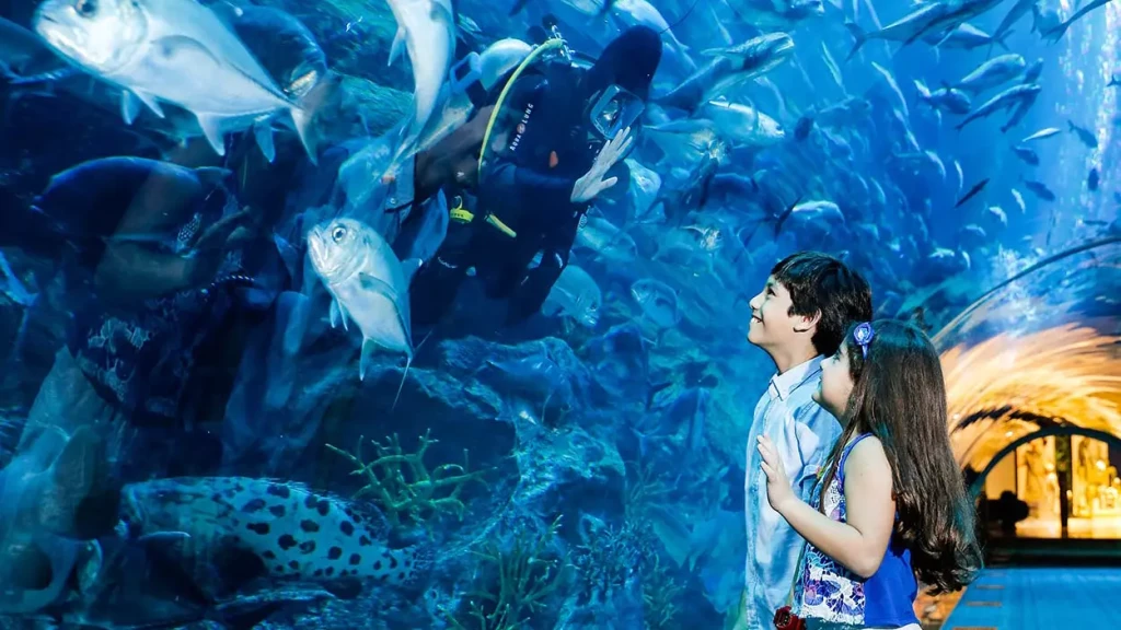Dubai Mall Akvaryumu & Underwater Zoo | Su Altı Dünyasını Keşfedin