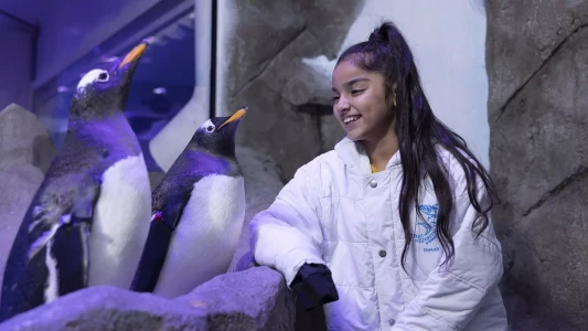 Dubai Mall Akvaryumu & Underwater Zoo | Su Altı Dünyasını Keşfedin
