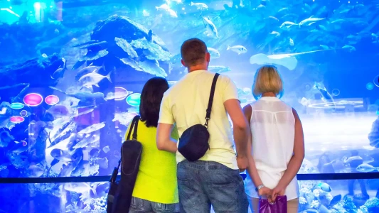 迪拜购物中心水族馆和水下动物园 | 探索水下世界