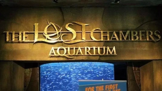 Lost World Aquarium – Aquaventure World | Atlantis Dubai Akvaryumu
