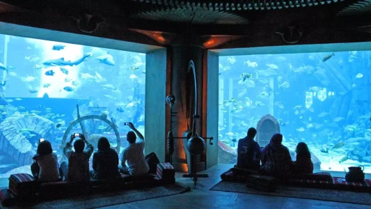 Lost World Aquarium – Aquaventure World | Atlantis Dubai Akvaryumu