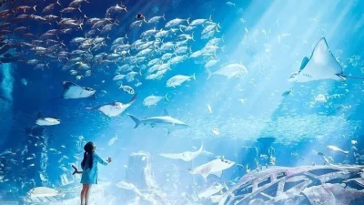 Lost World Aquarium – Aquaventure World | Atlantis Dubai Akvaryumu