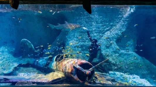 National Aquarium Abu Dhabi | Orta Doğu’nun En Büyük Akvaryumu