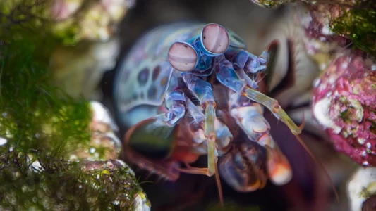 National Aquarium Abu Dhabi | The Largest Aquarium in the Middle East