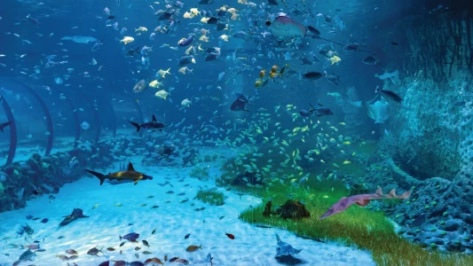 National Aquarium Abu Dhabi | The Largest Aquarium in the Middle East