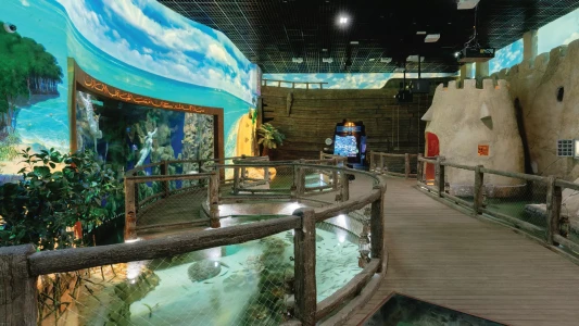National Aquarium Abu Dhabi | The Largest Aquarium in the Middle East