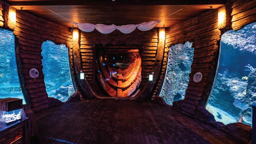 National Aquarium Abu Dhabi | Orta Doğu’nun En Büyük Akvaryumu