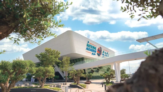 National Aquarium Abu Dhabi | The Largest Aquarium in the Middle East