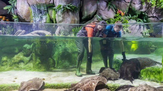 National Aquarium Abu Dhabi | The Largest Aquarium in the Middle East