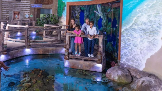National Aquarium Abu Dhabi | The Largest Aquarium in the Middle East