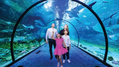 National Aquarium Abu Dhabi | Orta Doğu’nun En Büyük Akvaryumu