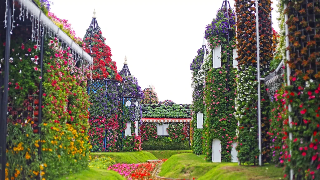 Dubai Miracle Garden | Dünyanın En Büyük Çiçek Bahçesi